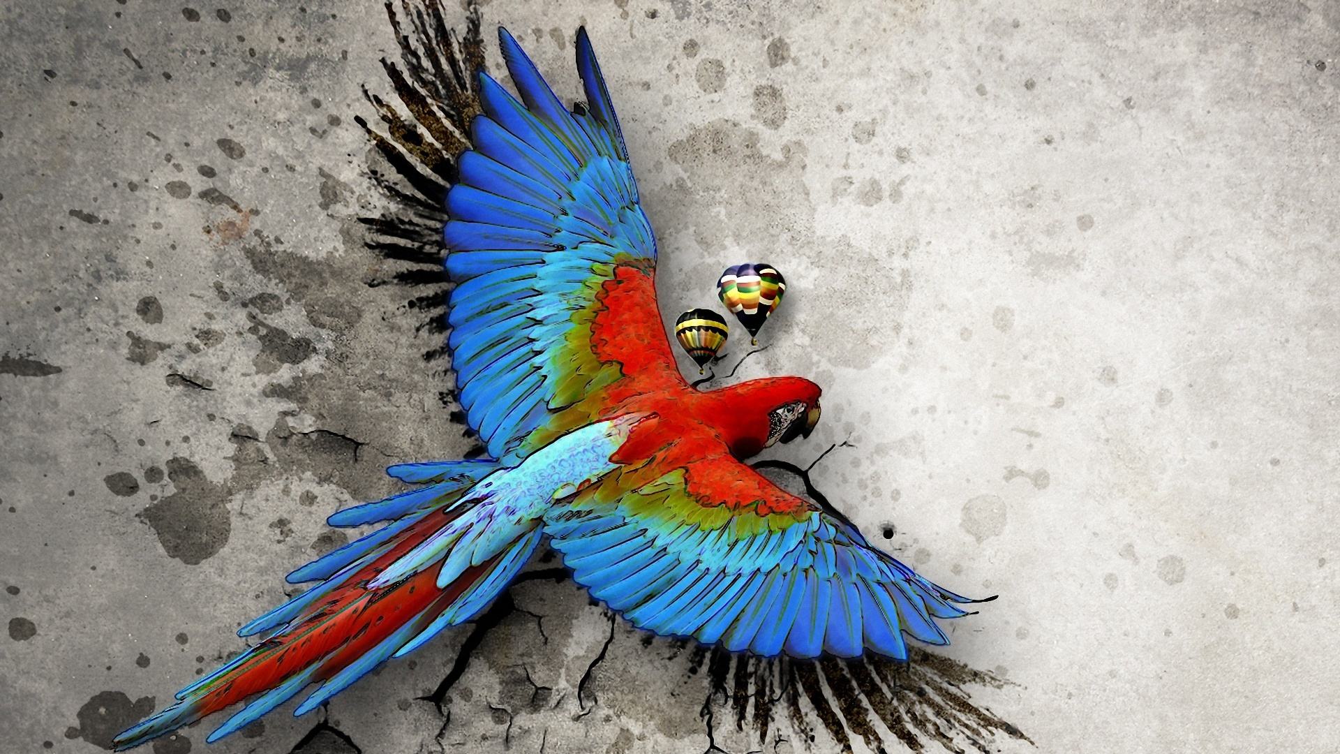 Красочный попугай.